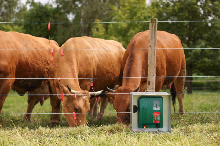 AKO Weidezaungerät DUO Power XI8000 Smart